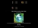 Gorilla Kingdom
