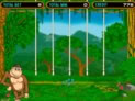 Crazy Monkey