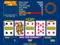 Bingo Poker