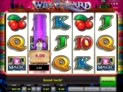Win Wizard