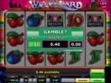 Win Wizard