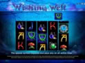 Wishing Well™