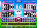 Fluffy Bingo