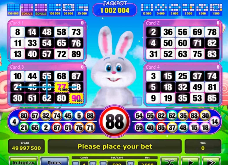 Fluffy Bingo game - play for free