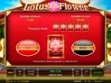 Lotus Flower™
