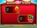 Lotus Flower™