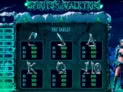 Spirits of the Valkyrie
