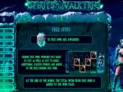 Spirits of the Valkyrie