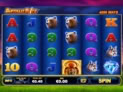 Buffalo Blitz