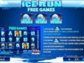 Ice Run