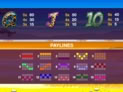 Wild Gambler
