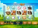 Fortunes of the Fox
