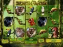 Secrets of the Amazon