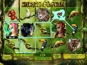 Secrets of the Amazon