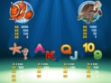 Dolphin Reef