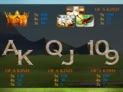 Bai Shi (White King APAC)