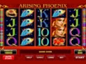 Arising Phoenix