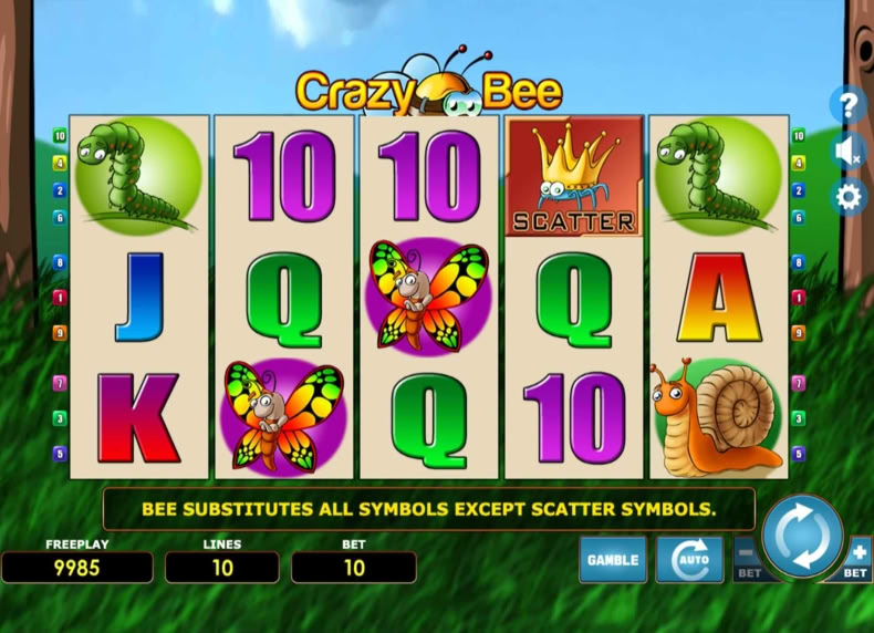 Crazy Bee game - play for free