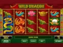 Wild Dragon