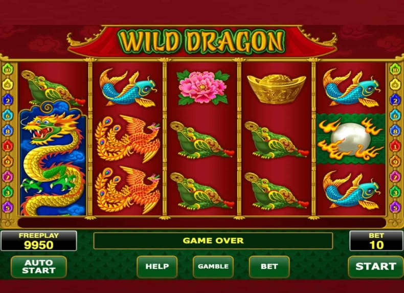 Wild Dragon game - play for free
