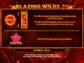 Blazing Wilds 20