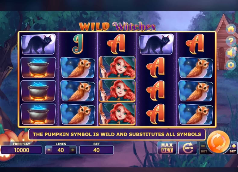 Wild Witches game - play for free