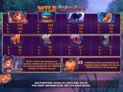 Wild Witches