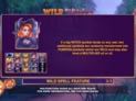 Wild Witches