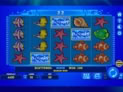 Wild Shark Bonus Buy
