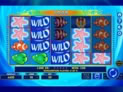 Wild Shark Bonus Buy