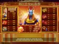Wild Anubis