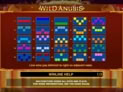Wild Anubis