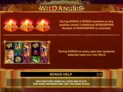 Wild Anubis