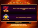 Hot Fruits 40