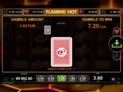 Flaming Hot