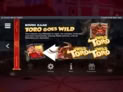 Wild Toro