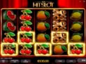 2020 Hit Slot