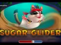Sugar Glider