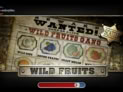 Wild Fruits