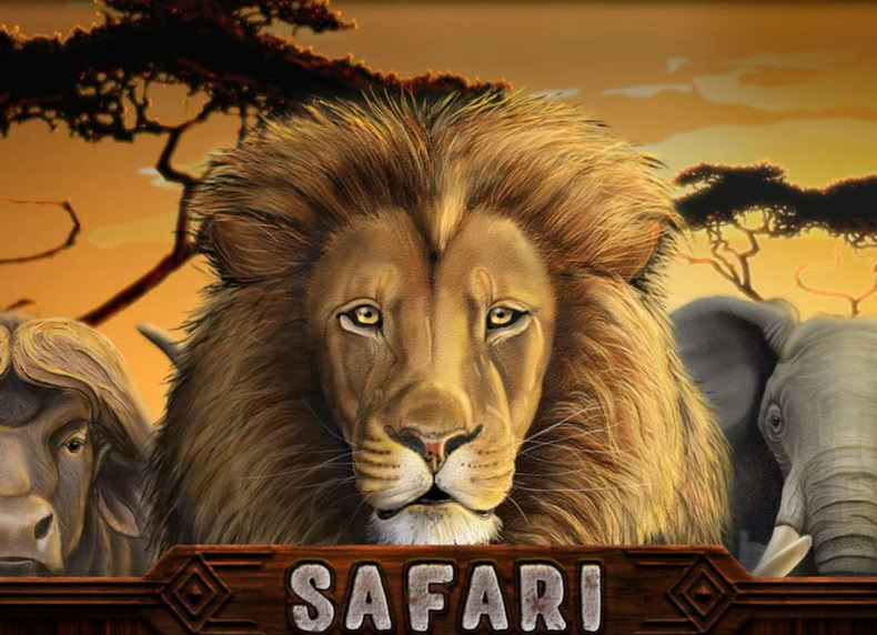 Safari game - play for free
