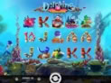 Dolphins Treasure