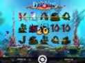 Dolphins Treasure
