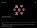 Dolphins Treasure