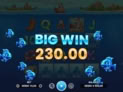 Ocean Catch