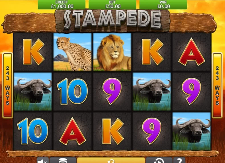 Stampede game - play for free