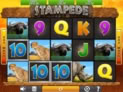 Stampede