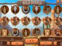Wild Rodeo