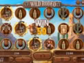 Wild Rodeo