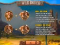 Wild Rodeo