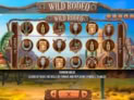 Wild Rodeo